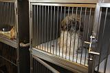 CAGE DE REPOS 002
